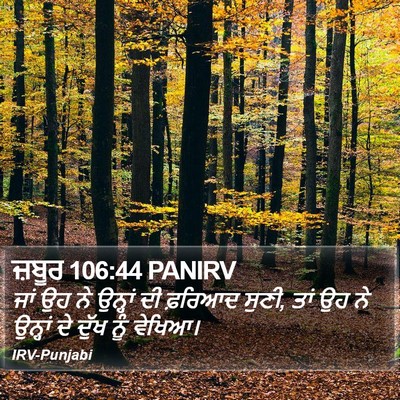 ਜ਼ਬੂਰ 106:44 PANIRV Bible Verse Image