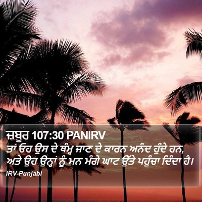 ਜ਼ਬੂਰ 107:30 PANIRV Bible Verse Image