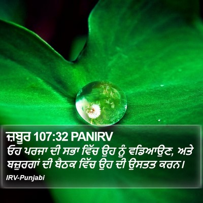 ਜ਼ਬੂਰ 107:32 PANIRV Bible Verse Image