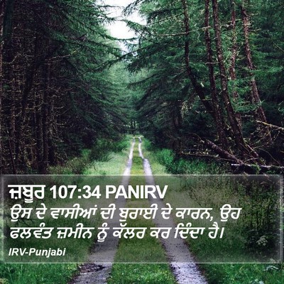 ਜ਼ਬੂਰ 107:34 PANIRV Bible Verse Image