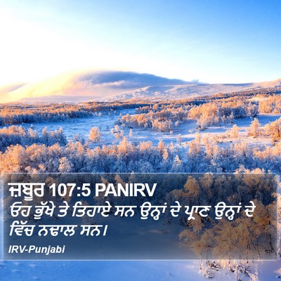 ਜ਼ਬੂਰ 107:5 PANIRV Bible Verse Image