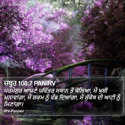 ਜ਼ਬੂਰ 108:7 PANIRV Bible Verse Image