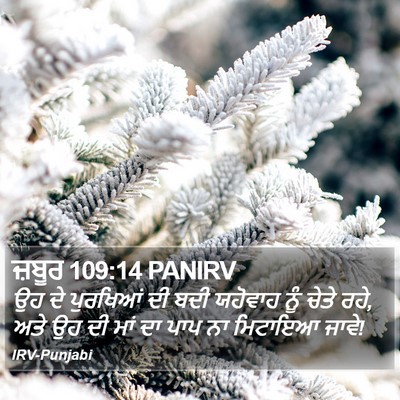 ਜ਼ਬੂਰ 109:14 PANIRV Bible Verse Image
