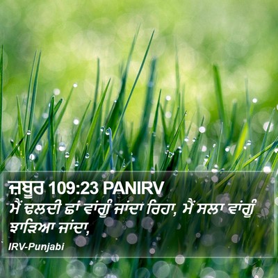 ਜ਼ਬੂਰ 109:23 PANIRV Bible Verse Image