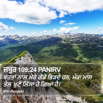 ਜ਼ਬੂਰ 109:24 PANIRV Bible Verse Image
