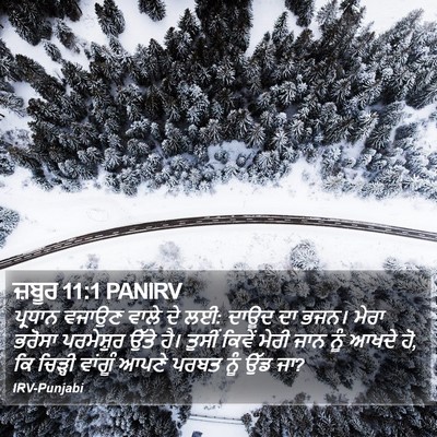 ਜ਼ਬੂਰ 11:1 PANIRV Bible Verse Image