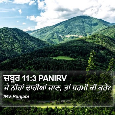 ਜ਼ਬੂਰ 11:3 PANIRV Bible Verse Image