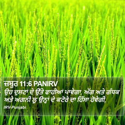 ਜ਼ਬੂਰ 11:6 PANIRV Bible Verse Image