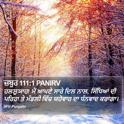 ਜ਼ਬੂਰ 111:1 PANIRV Bible Verse Image
