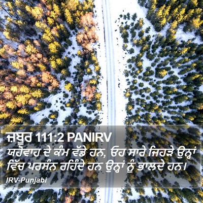 ਜ਼ਬੂਰ 111:2 PANIRV Bible Verse Image
