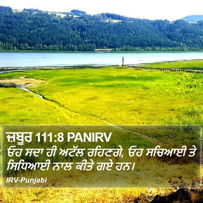 ਜ਼ਬੂਰ 111:8 PANIRV Bible Verse Image