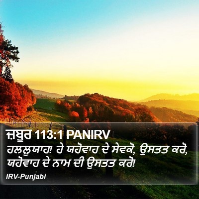 ਜ਼ਬੂਰ 113:1 PANIRV Bible Verse Image