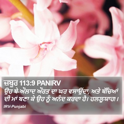 ਜ਼ਬੂਰ 113:9 PANIRV Bible Verse Image