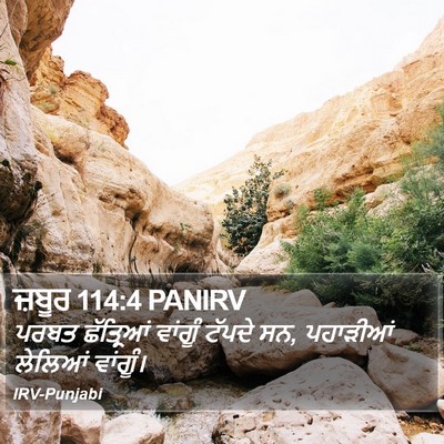 ਜ਼ਬੂਰ 114:4 PANIRV Bible Verse Image