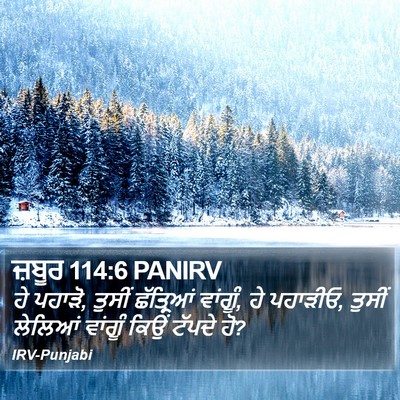 ਜ਼ਬੂਰ 114:6 PANIRV Bible Verse Image
