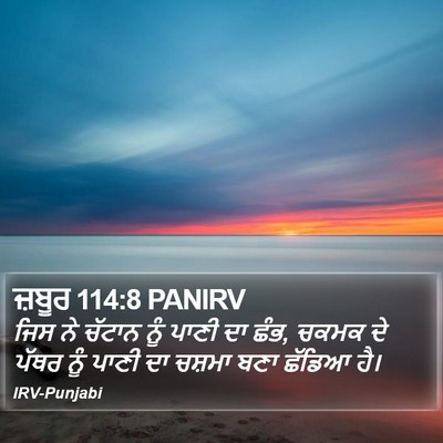 ਜ਼ਬੂਰ 114:8 PANIRV Bible Verse Image