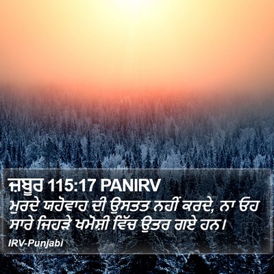 ਜ਼ਬੂਰ 115:17 PANIRV Bible Verse Image