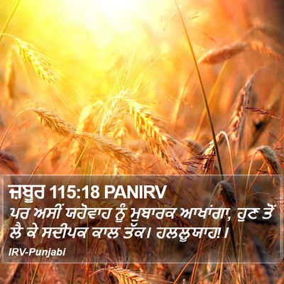 ਜ਼ਬੂਰ 115:18 PANIRV Bible Verse Image