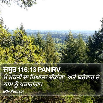 ਜ਼ਬੂਰ 116:13 PANIRV Bible Verse Image