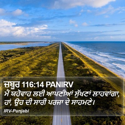 ਜ਼ਬੂਰ 116:14 PANIRV Bible Verse Image