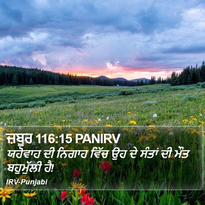 ਜ਼ਬੂਰ 116:15 PANIRV Bible Verse Image