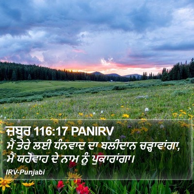 ਜ਼ਬੂਰ 116:17 PANIRV Bible Verse Image