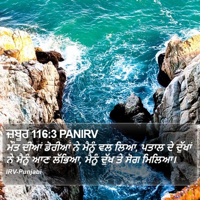 ਜ਼ਬੂਰ 116:3 PANIRV Bible Verse Image