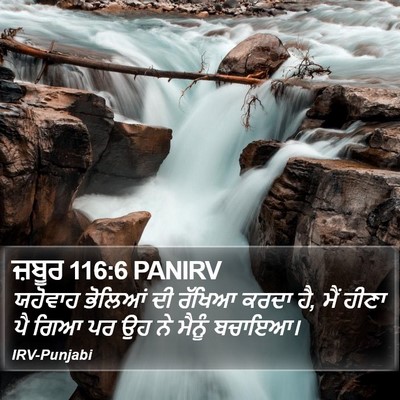ਜ਼ਬੂਰ 116:6 PANIRV Bible Verse Image