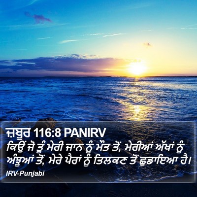 ਜ਼ਬੂਰ 116:8 PANIRV Bible Verse Image