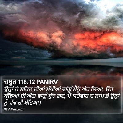 ਜ਼ਬੂਰ 118:12 PANIRV Bible Verse Image