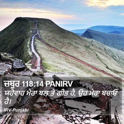 ਜ਼ਬੂਰ 118:14 PANIRV Bible Verse Image