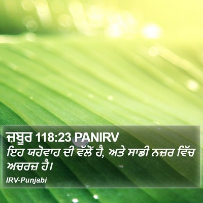 ਜ਼ਬੂਰ 118:23 PANIRV Bible Verse Image