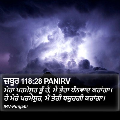 ਜ਼ਬੂਰ 118:28 PANIRV Bible Verse Image