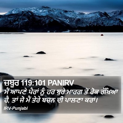 ਜ਼ਬੂਰ 119:101 PANIRV Bible Verse Image