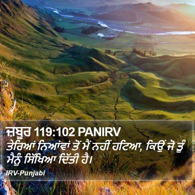 ਜ਼ਬੂਰ 119:102 PANIRV Bible Verse Image