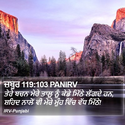 ਜ਼ਬੂਰ 119:103 PANIRV Bible Verse Image