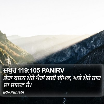 ਜ਼ਬੂਰ 119:105 PANIRV Bible Verse Image