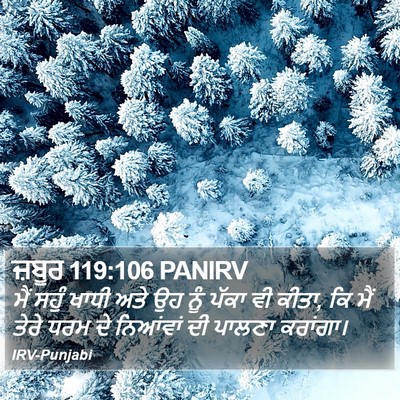 ਜ਼ਬੂਰ 119:106 PANIRV Bible Verse Image