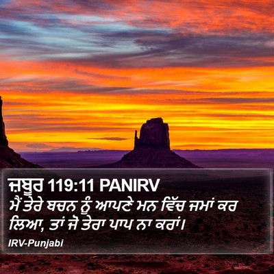 ਜ਼ਬੂਰ 119:11 PANIRV Bible Verse Image