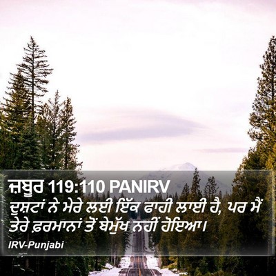 ਜ਼ਬੂਰ 119:110 PANIRV Bible Verse Image