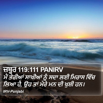 ਜ਼ਬੂਰ 119:111 PANIRV Bible Verse Image