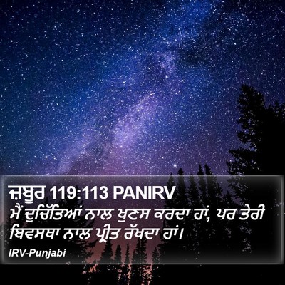 ਜ਼ਬੂਰ 119:113 PANIRV Bible Verse Image