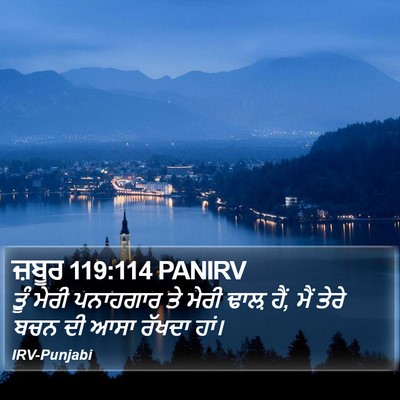 ਜ਼ਬੂਰ 119:114 PANIRV Bible Verse Image