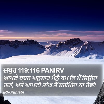 ਜ਼ਬੂਰ 119:116 PANIRV Bible Verse Image