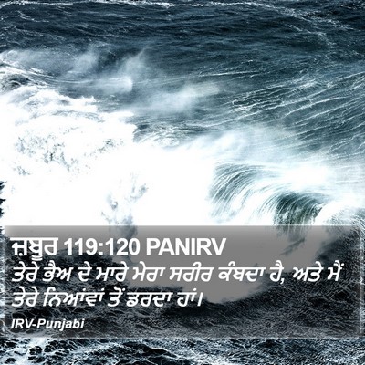 ਜ਼ਬੂਰ 119:120 PANIRV Bible Verse Image