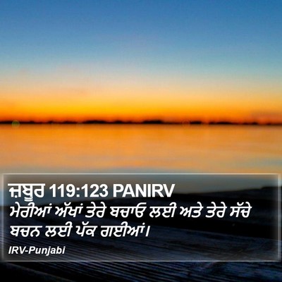 ਜ਼ਬੂਰ 119:123 PANIRV Bible Verse Image