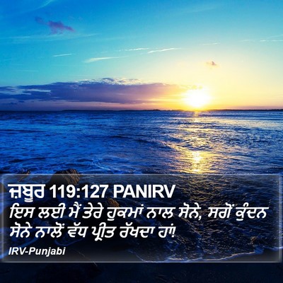 ਜ਼ਬੂਰ 119:127 PANIRV Bible Verse Image