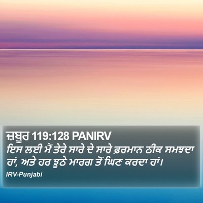 ਜ਼ਬੂਰ 119:128 PANIRV Bible Verse Image