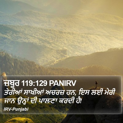 ਜ਼ਬੂਰ 119:129 PANIRV Bible Verse Image