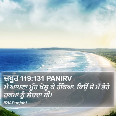 ਜ਼ਬੂਰ 119:131 PANIRV Bible Verse Image
